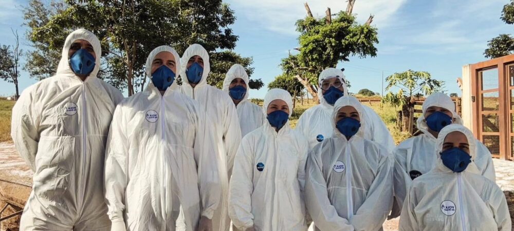Goiás conclui ações emergenciais após foco de gripe aviária